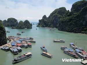 Vietnam and Indonesia promote cooperation in tourism - ảnh 1